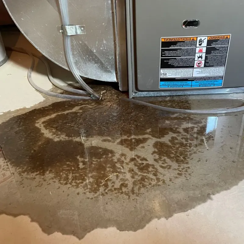 Pipe Burst and Leak Restoration in Gem County, ID
