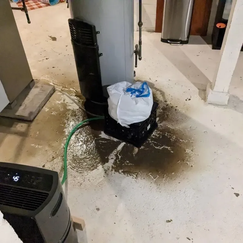 Sewage Backup Cleanup Service in Gem County, ID